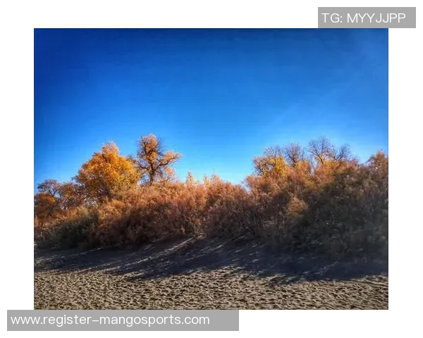 英超传奇周秀英畅谈足球生涯与梦想追逐的心路历程